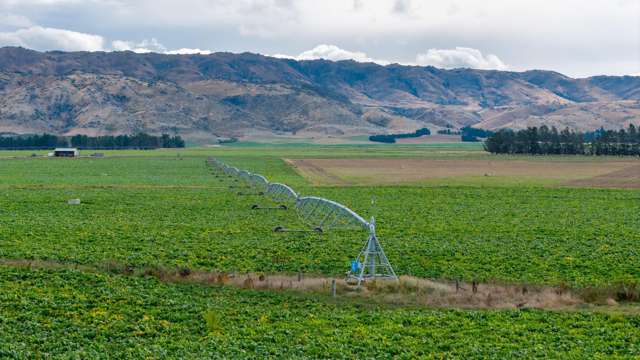 263 Puketoi Runs Road Puketoi_4