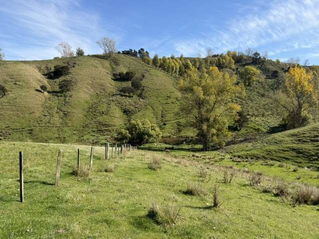 235 Te Ore Ore-Bideford Road Masterton_1