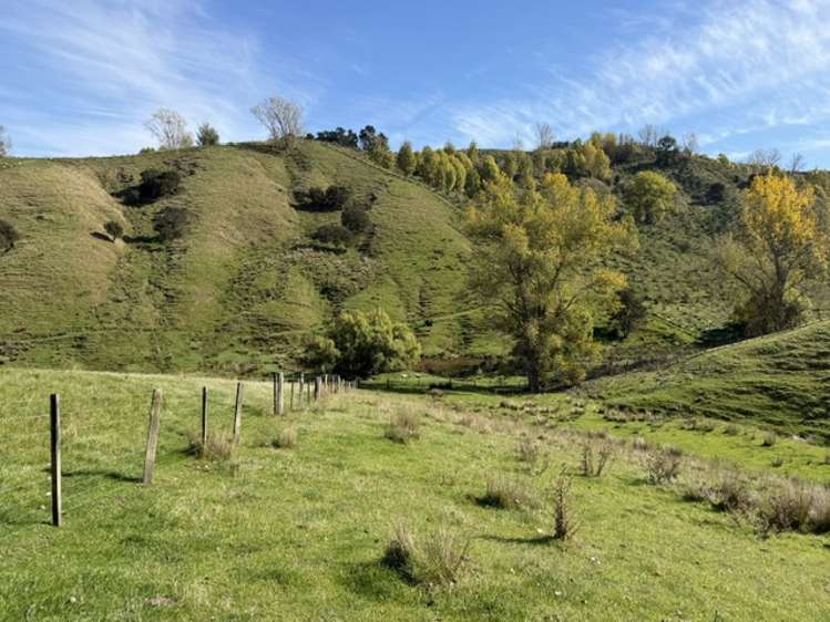 235 Te Ore Ore-Bideford Road Masterton_1