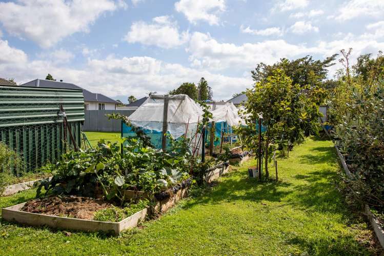 276 High Street Dannevirke_29