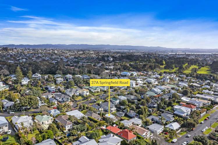 37a Springfield Road Morningside_15