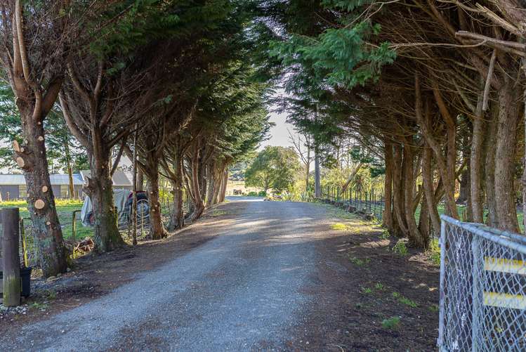 987 State Highway 6 Camerons_24