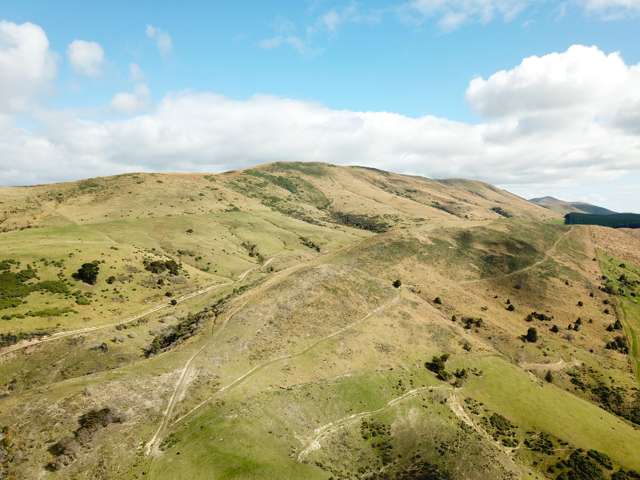 Production Forestry and Carbon Farming Potential