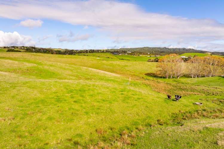 88 Heatherlea Drive Ruakaka_8