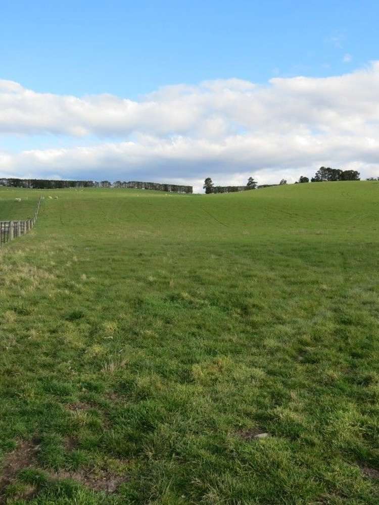 649 Kauru Hill Road Five Forks and Surrounds_43