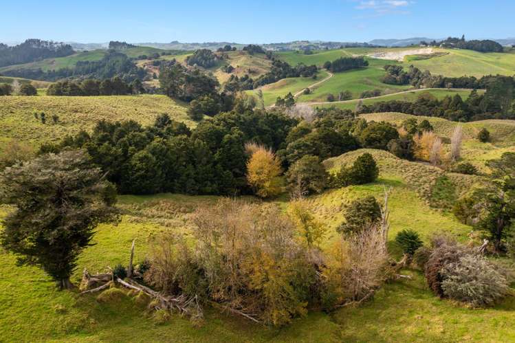 70 Biddle Road Wellsford_29