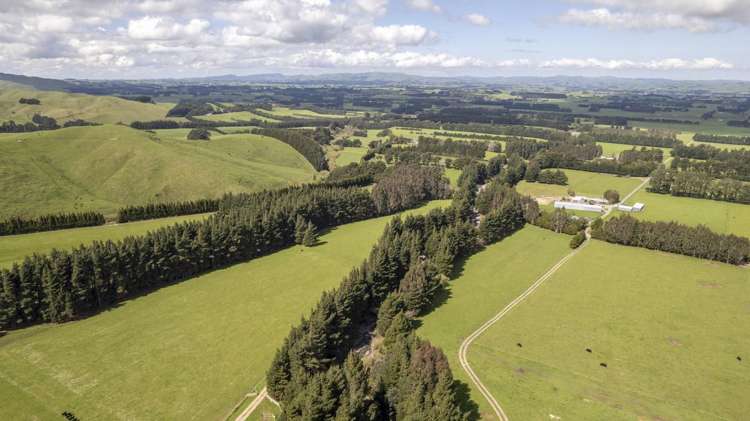 189 Thorburn Road Dannevirke_6