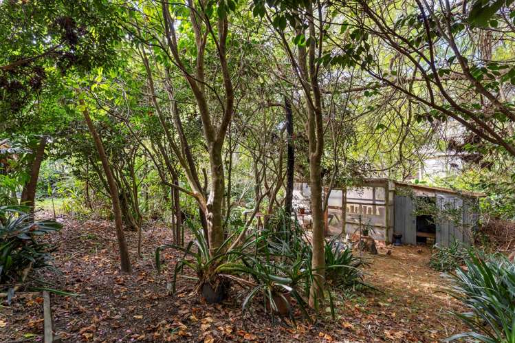 32 Parker Avenue New Lynn_21