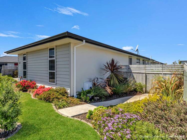 17 Morrell Street Tawhero_22