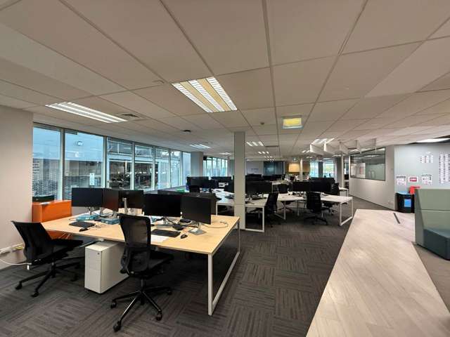 111 Carlton Gore Road Newmarket_4