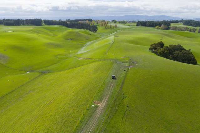 234 Sandon Road Feilding_4