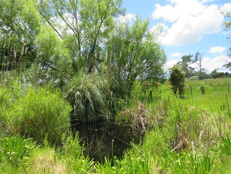 605 Whakapirau Road Whakapirau_26