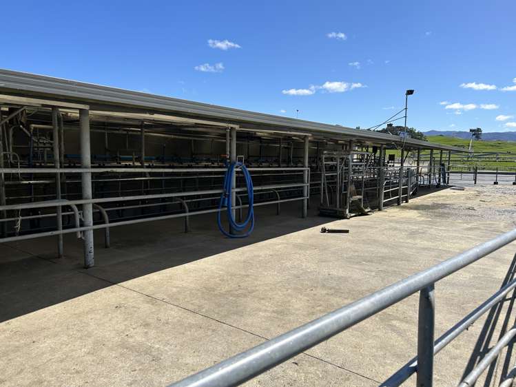 76412 State Highway 2 Rangitikei Surrounds_17