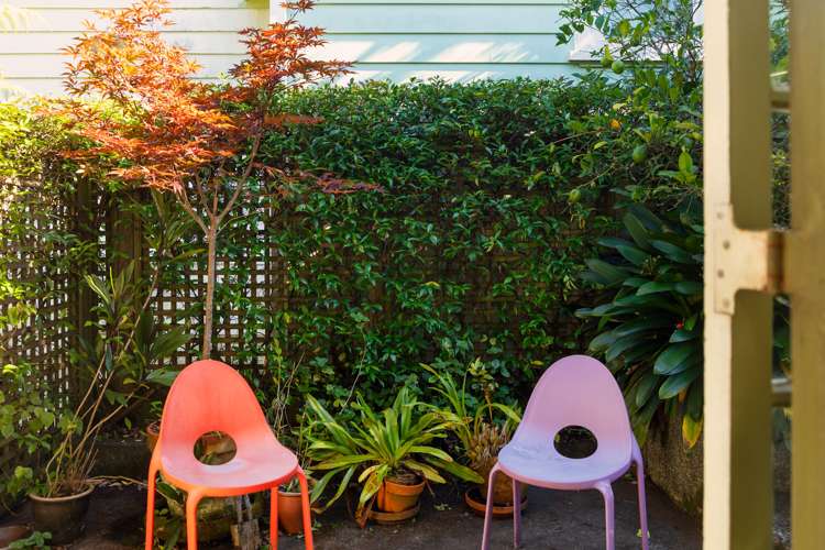 29 Alexander Street Kingsland_6