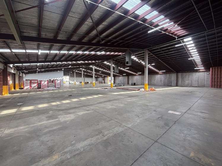 11 McDonald Street Morningside_4