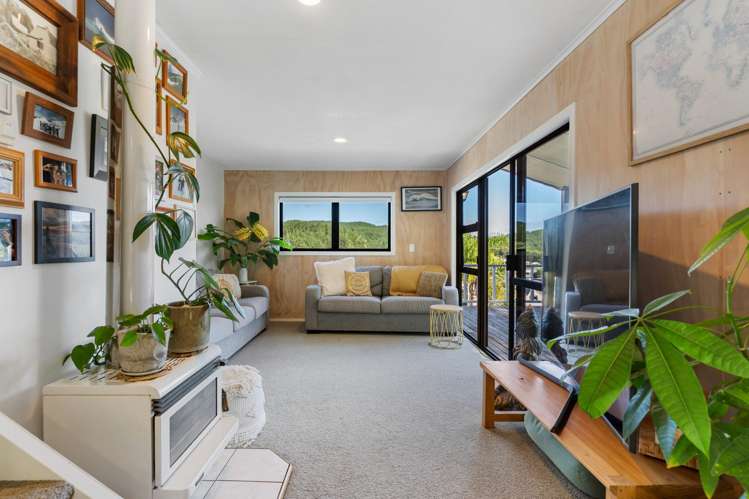 338 Onemana Drive Onemana_11