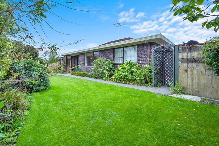 26A Bailey Avenue Claudelands_0