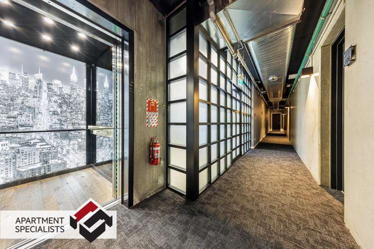 59 France Street Eden Terrace_15