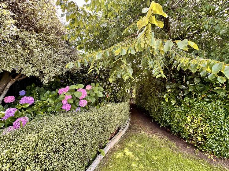 37 Catherine Street Windsor_14