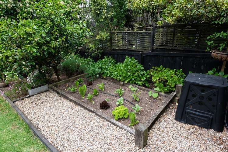 2/56 Vincent Street Howick_18