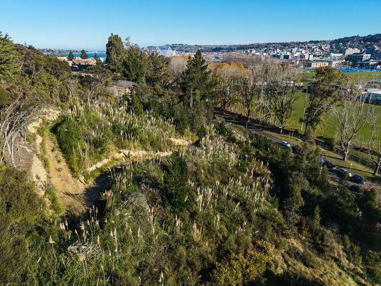 40 Butts Road North Dunedin_7