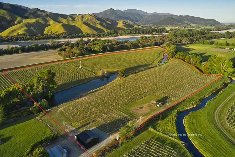 212 Selmes Road Rapaura_2