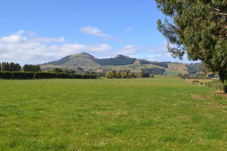 230 Bush Road Mosgiel_11