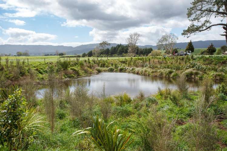 128 Rapurapu Road, Te Poi Matamata_17