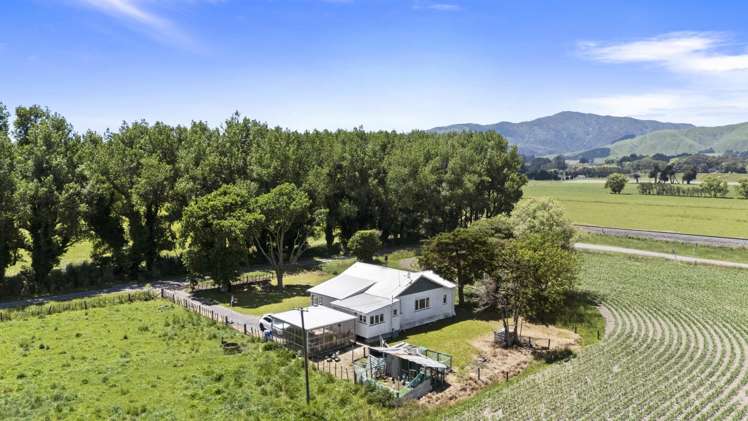 129-139 Tamatarau Road Tokomaru_17