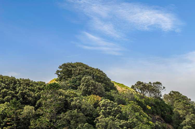 12/3 Sherbourne Road Mount Eden_8