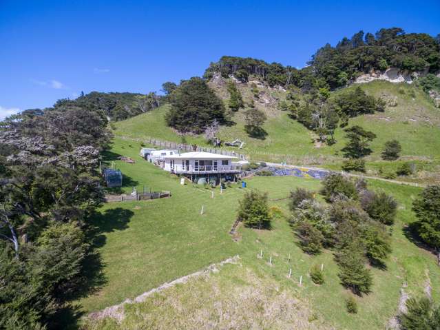 5029 State Highway 31 Kawhia Road Kawhia_4