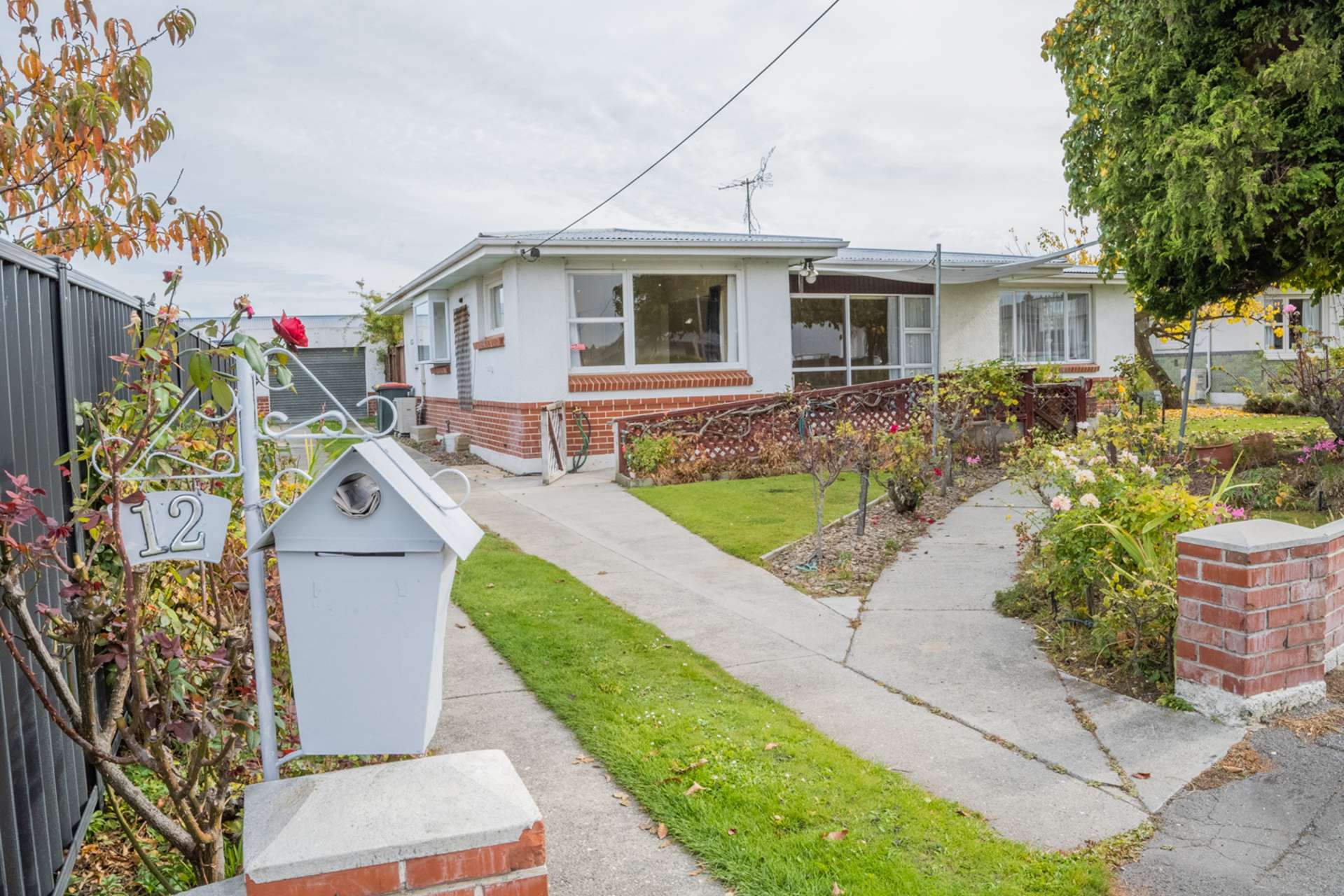 12 Simmonds Street Alexandra_0