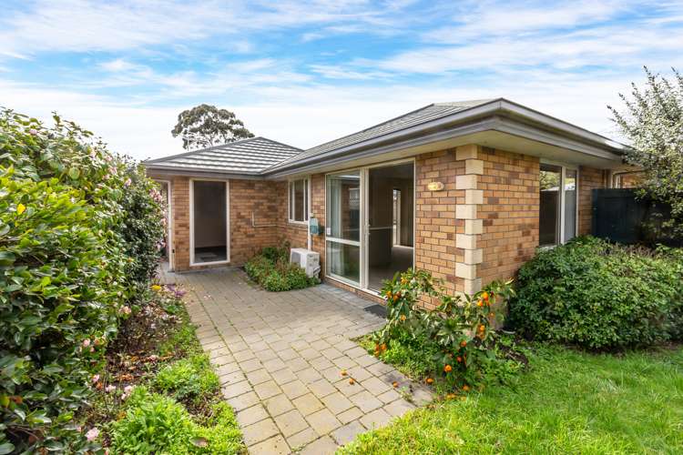 7/446 Ferry Road Woolston_12