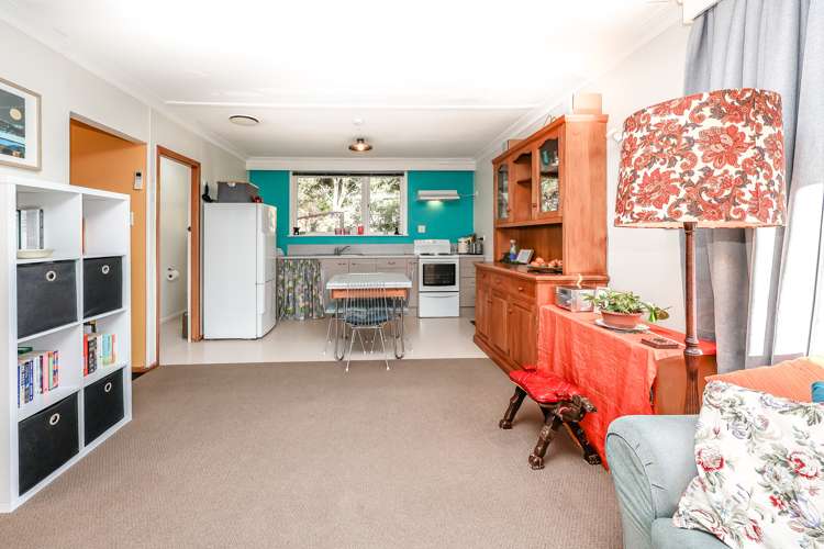 177 Evans Street Opoho_7