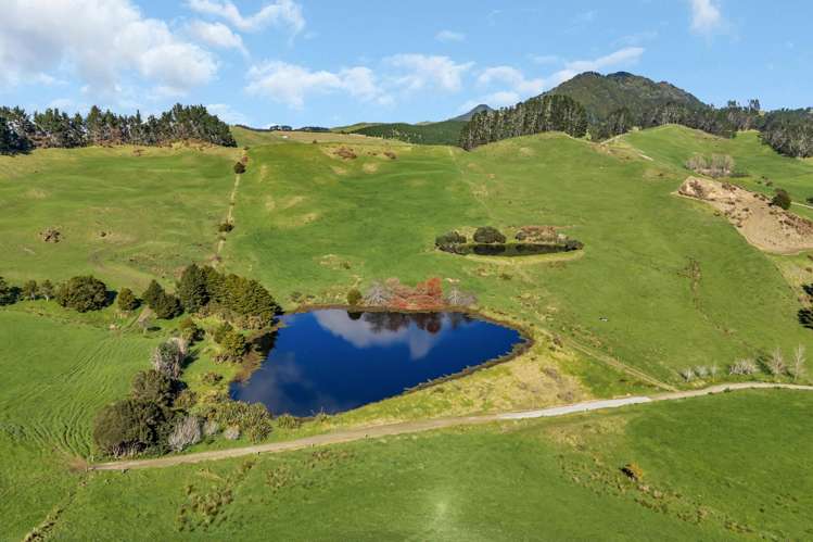 240 Otakairangi Road Riponui_35