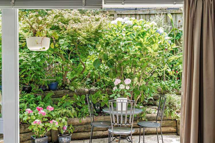 Address withheld Remuera_15