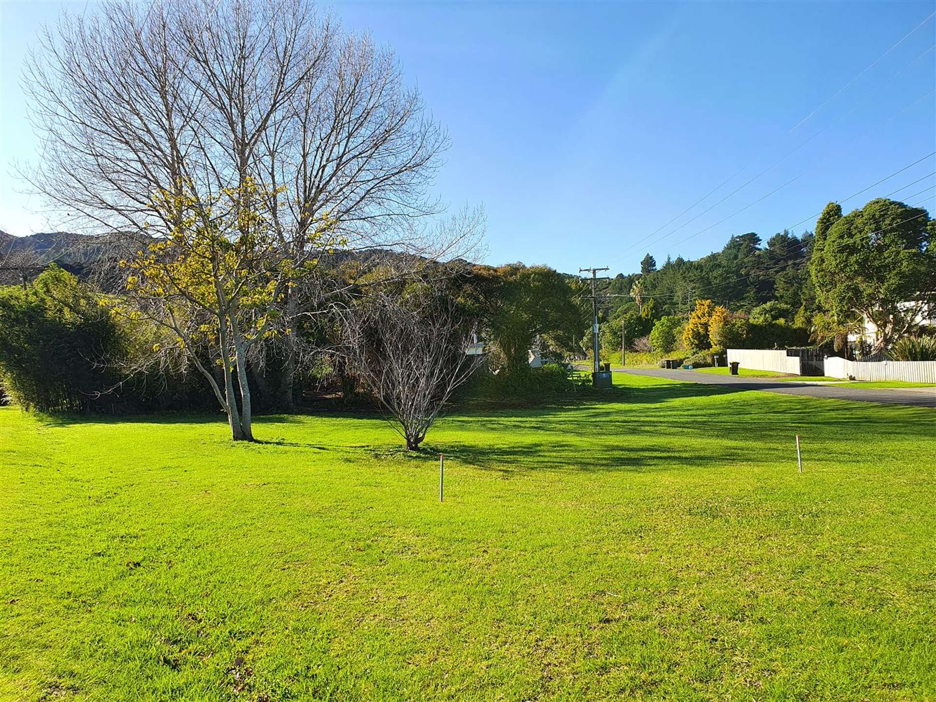 390 Pagitt Street Coromandel_0