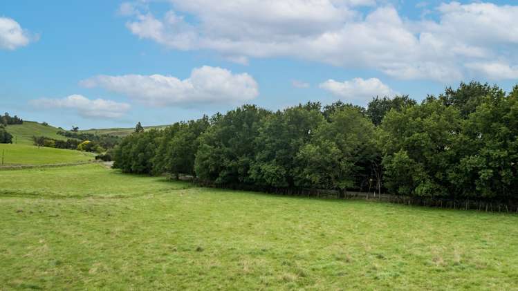 95 Settlement Road Waipukurau and Surrounds_9