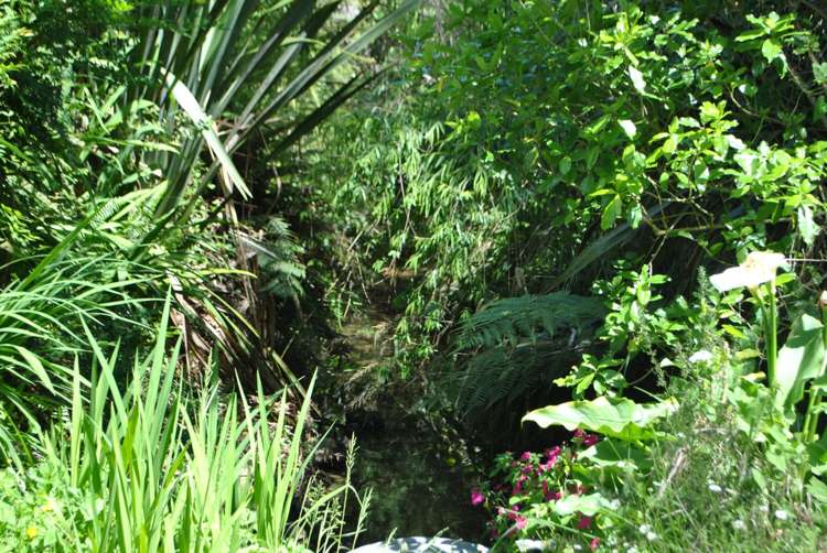 27 Ranfurly Place Kamo_9