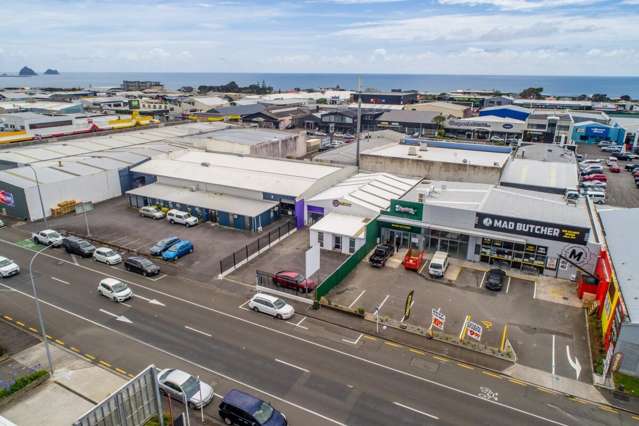 211 Courtenay Street New Plymouth_4