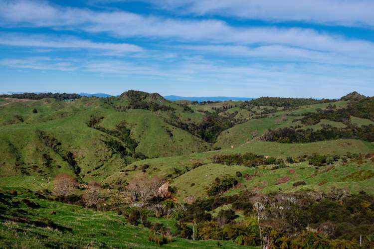 23 Mahoe Road Waitomo_10