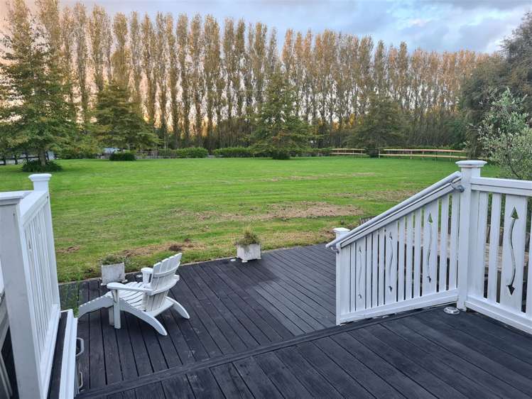 26 Postman Road Dairy Flat_7