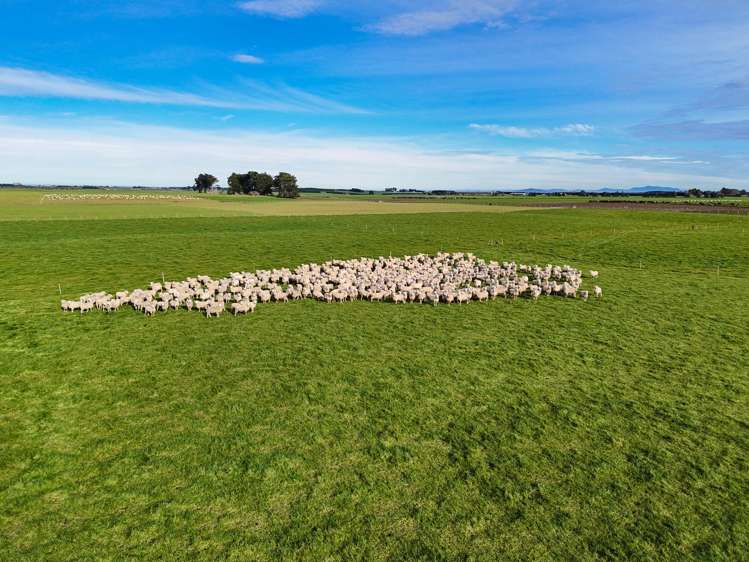 677 Waituna Road Wyndham Surrounds_5