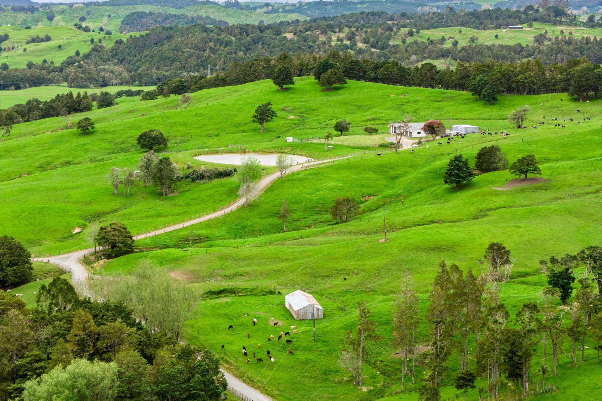 1070 Tangihua Road Maungakaramea_0