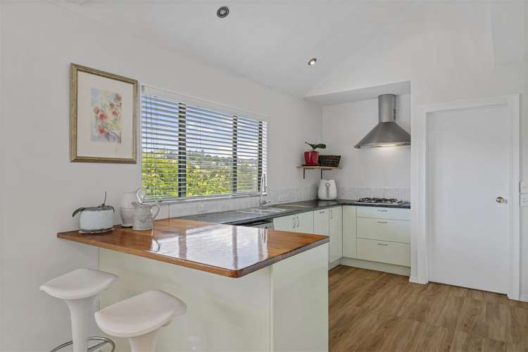 45 John Rymer Place Kohimarama_7