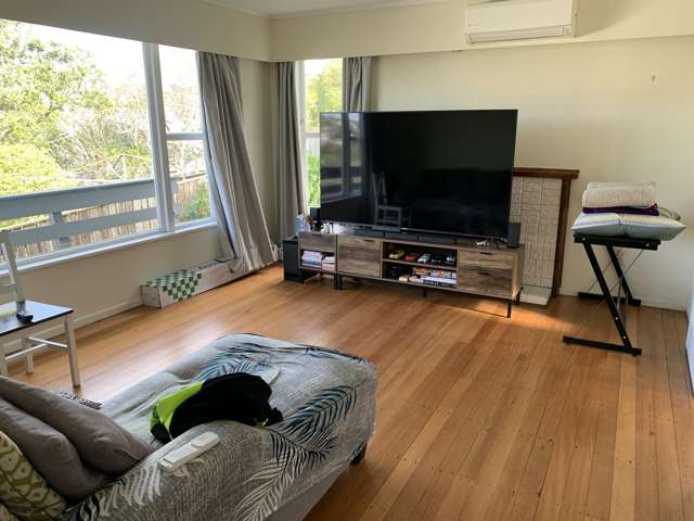 22 Stewart Drive Newlands_3