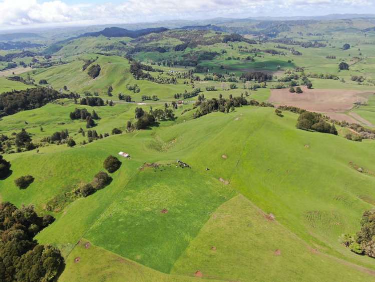 Lot (Rural)/1246 State Highway 3 Piopio_12