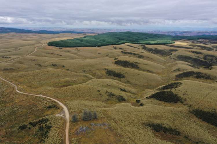 732 Beaumont Highway Clutha_18