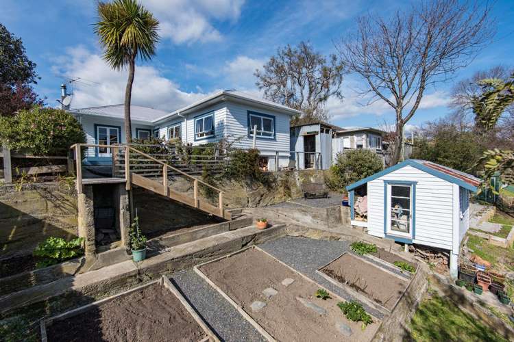 24 Jenner Road Toi Toi_15