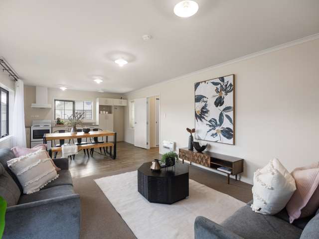 47h Nixon Street Hamilton East_4